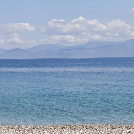 Lägenhetshotell Daphne's Club