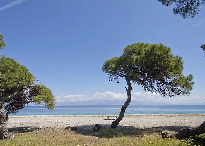 Daphne's Club Aparthotel 3*