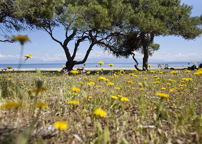 Daphne's Club Aparthotel