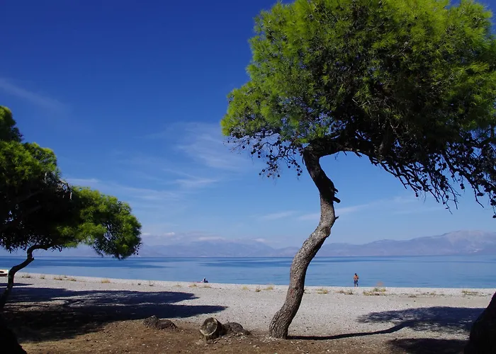 Daphne's Club Xylokastro